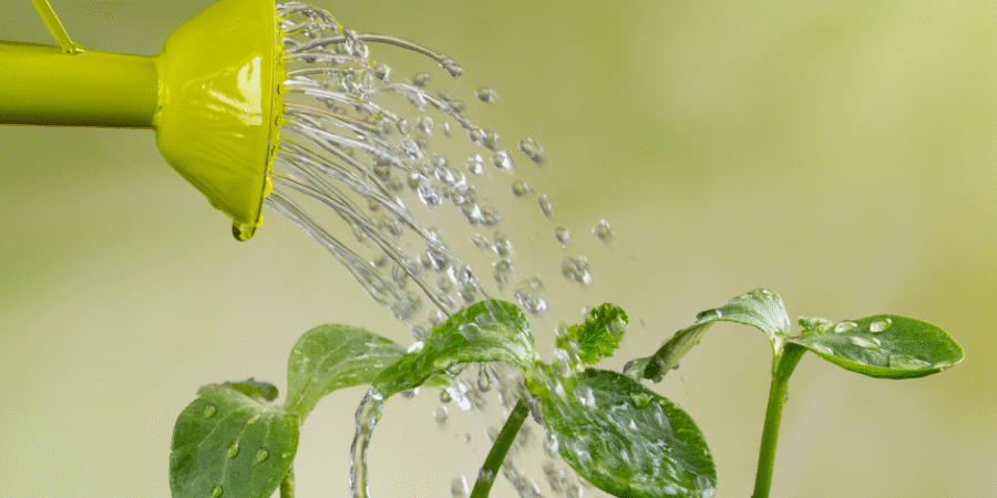 How to “Water” Trust—5 Ways to Lower Employee Defenses